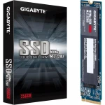 GIGABYTE SSD, M.2 - 256GB